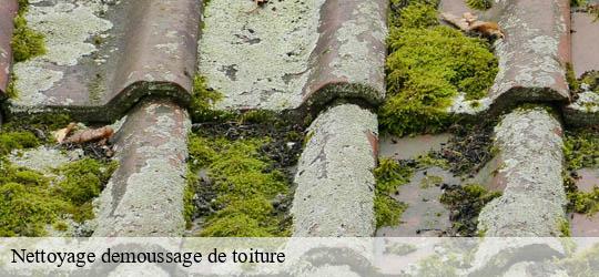 Nettoyage demoussage de toiture  saint-mande-94160 Felix Couverture