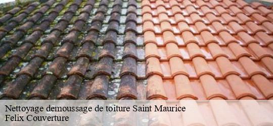 Nettoyage demoussage de toiture saint-maurice-94410 Felix Couverture