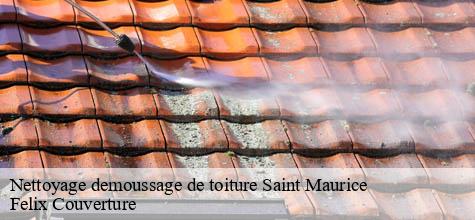 Nettoyage demoussage de toiture  saint-maurice-94410 Felix Couverture
