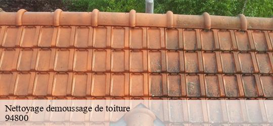 Nettoyage demoussage de toiture  villejuif-94800 Toiture Schtenegry