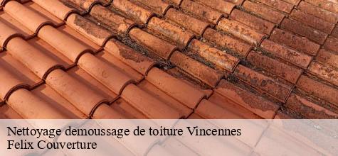 Nettoyage demoussage de toiture  vincennes-94300 Felix Couverture