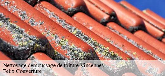 Nettoyage demoussage de toiture  vincennes-94300 Felix Couverture