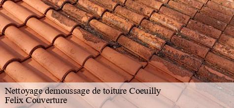 Nettoyage demoussage de toiture  coeuilly-94500 Felix Couverture