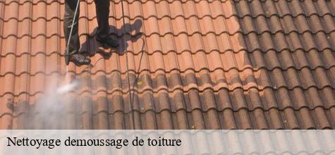 Nettoyage demoussage de toiture  coeuilly-94500 Felix Couverture