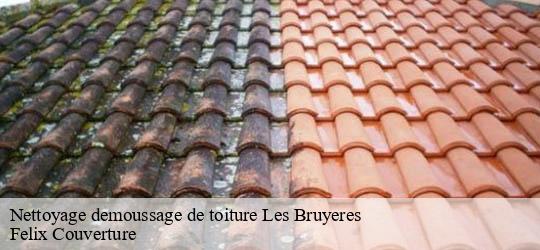 Nettoyage demoussage de toiture les-bruyeres-94370 Felix Couverture