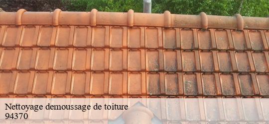 Nettoyage demoussage de toiture les-bruyeres-94370 JS bâtiment